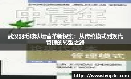 武汉羽毛球队运营革新探索：从传统模式到现代管理的转型之路